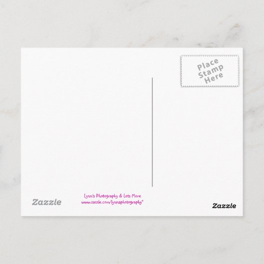 Reizen Bunny - Briefkaart (Achterkant)