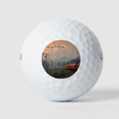 Reizen Golfballen (Voorkant)