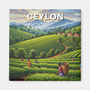 Reizen naar Ceylon Sri Lanka Magneet