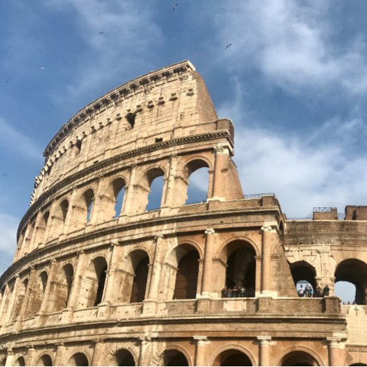 Reizende Waterfles Waterfles