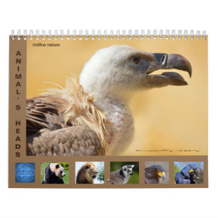 Reizigerskoppen 12-maandenkalender kalender