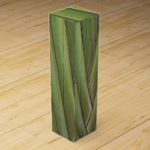 Reizigerspalm Wijndoos