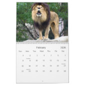 Rejoignez la Fierté : Calendrier Lion (Feb 2026)