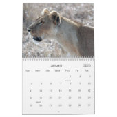 Rejoignez la Fierté : Calendrier Lion (Jan 2026)