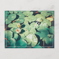 Rejoignez-nous Carte Postale Fleur de Nénuphar Feu