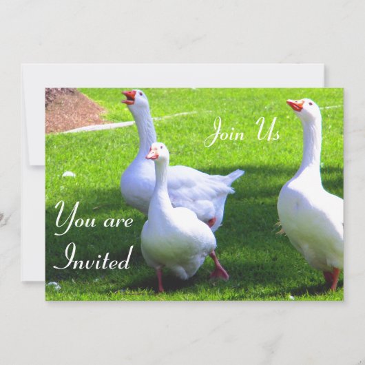 Rejoignez-nous_ Invitation (Devant)