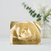 Rejoignez-Nous, S'Il Vous Plaît ! Rose de carte po (Debout devant)