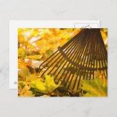 Rek en luiken briefkaart (Voorkant / Achterkant)