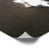 Rek.... Poster (Hoek)