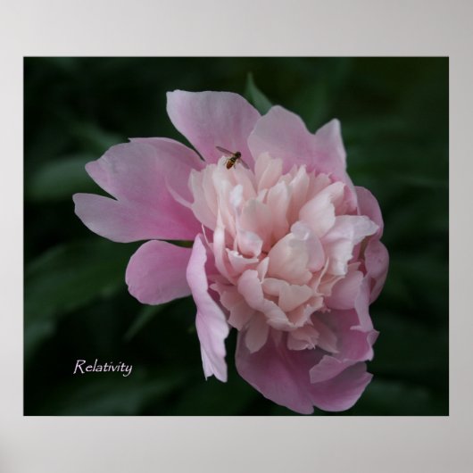 Relativiteitsbreekbaar Art-Poster Poster (Voorkant)