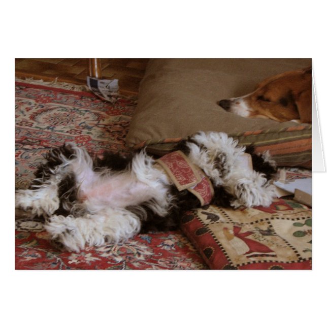 RELAX! (Voorkant Horizontaal)