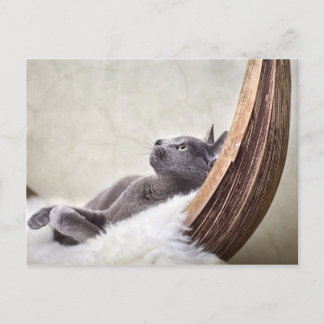 Relax Briefkaart