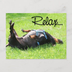 Relax Get Well - Dachshund - Hoover Briefkaart