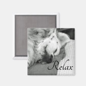 "Relax" Leuke Hond Slapen Vierkante Magneet (Voorkant / Achterkant)