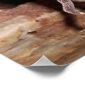 "Relax" Lounging Lizard Leopard Gecko Poster (Hoek)