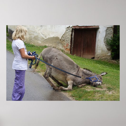 Relaxed Donkey Poster (Voorkant)