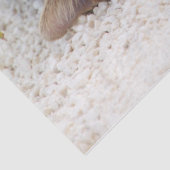 relaxerend kattenpapier tissuepapier (Detail)