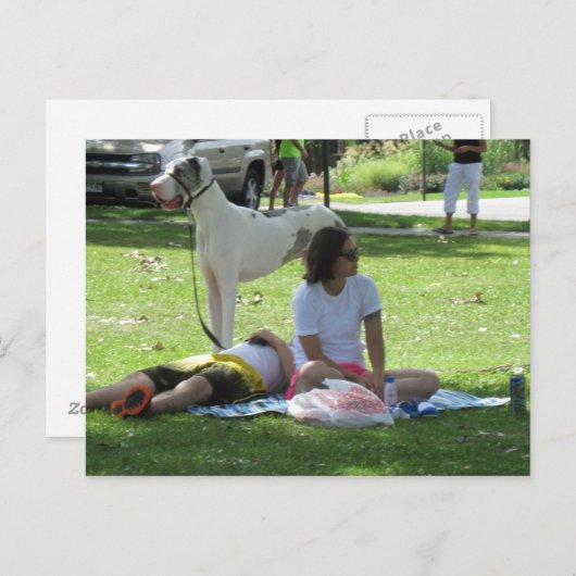 Relaxez-vous avec la carte postale Great Dane (Devant / Derrière)