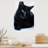 Relaxine Poster (Keuken)