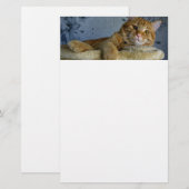 Relaxing Cat Briefpapier (Voorkant / Achterkant)