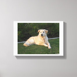 Relaxing Dog Canvas Afdruk