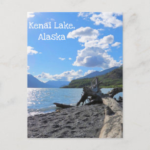 Relaxing Driftwood Beach Log Kenai Lake, Alaska Briefkaart