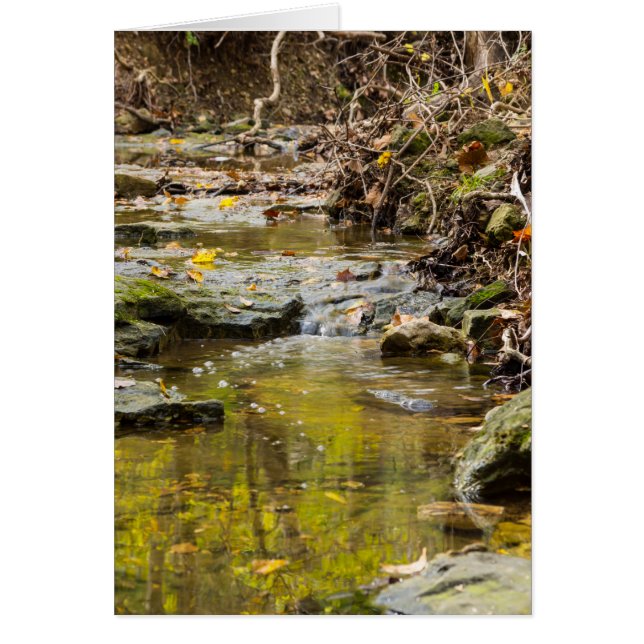 Relaxing in noord Wears (Voorkant)