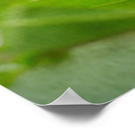 Relaxing Poster (Hoek)