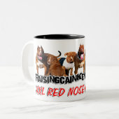 RELÈVEMENT DE LA TASSE ROUGE DU NEZ PITBULL DES (Devant gauche)