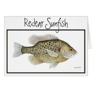 Relieve Sunfish card
