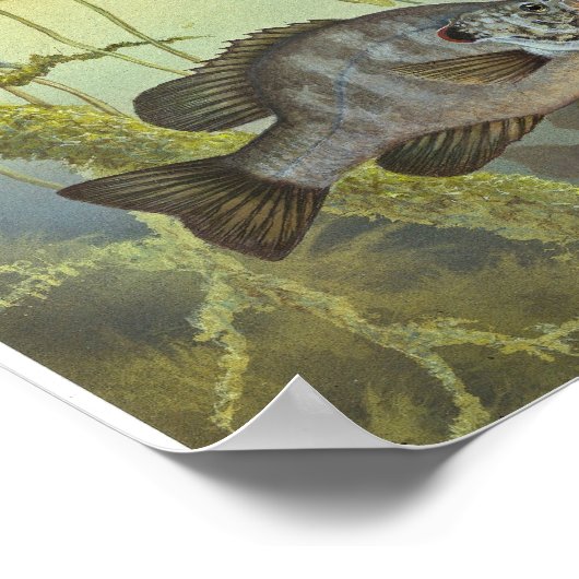 Relieve Sunfish Poster (Hoek)