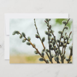 Religieuze Paas Kaart met Poesje Willow Branches