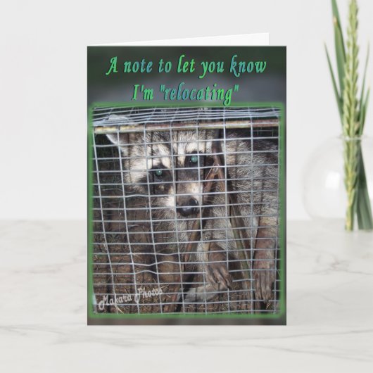 Relocalisation ? grand changement de carte à vos m (Devant)