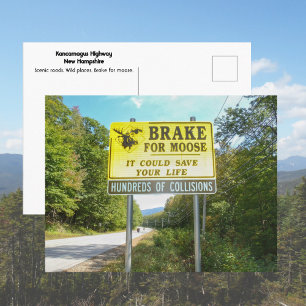 Rem op eland Kancamagus Highway New Hampshire Briefkaart