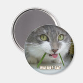 Rema Magnet 011 (Recto/Verso)