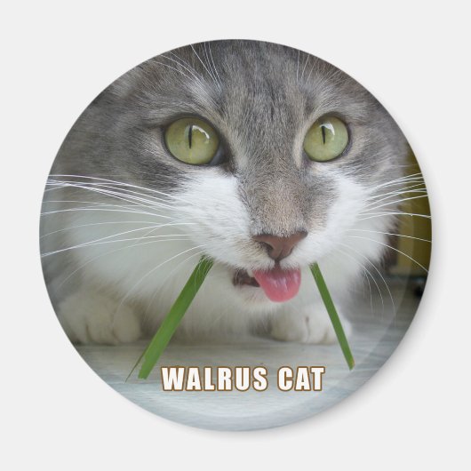 Rema Magnet 011 (Devant)