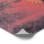 Rembrandt - Cupido Blowing Zeepbellen Poster (Hoek)