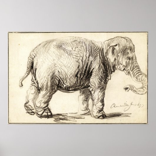 Rembrandt - Elephant 1637 Poster (Voorkant)