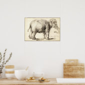 Rembrandt - Elephant 1637 Poster (Keuken)