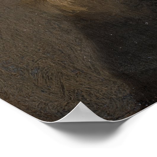 Rembrandt - onderzoek naar oud Man in profiel Poster (Hoek)