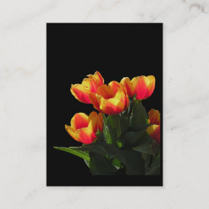 Rembrandt Tulips ATC-fotokaart Visitekaartje
