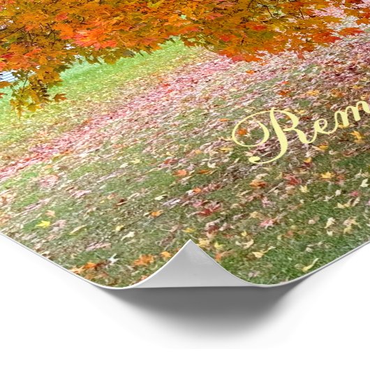 Remember When? Poster (Hoek)