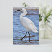 Remerciements Aiguille à la carte de note de plage (Debout devant)