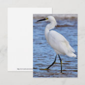 Remerciements Aiguille à la carte de note de plage (Devant / Derrière)