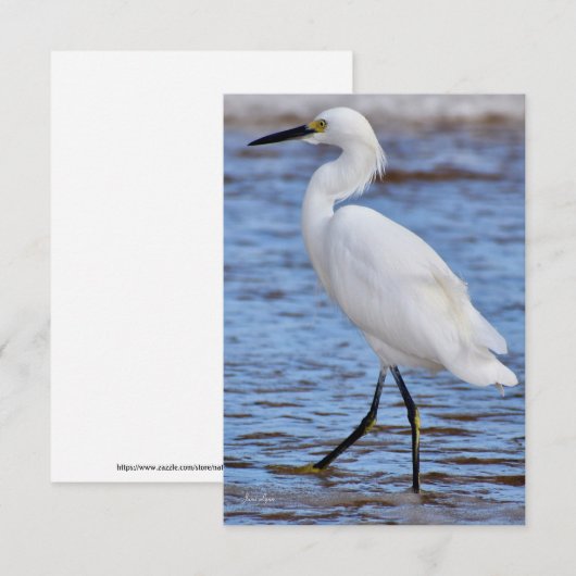 Remerciements Aiguille à la carte de note de plage (Devant / Derrière)