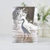 Remerciements Aiguille à la carte de note de plage (Debout devant)