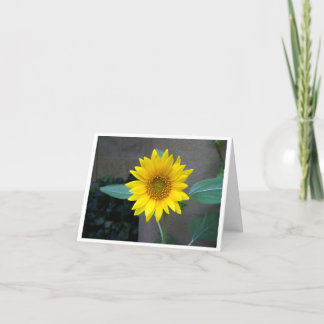 Remerciements Amitié, merci, anniversaire, carte de tournesol
