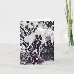 Remerciements B&W avec Berries Pomme de Crabe Rouge sur la carte