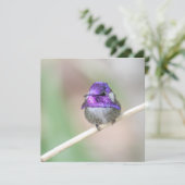 Remerciements Belle carte de billet colibri de Costa (Debout devant)