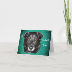 Remerciements Black Labrador Retriever Chien Carte de remercieme